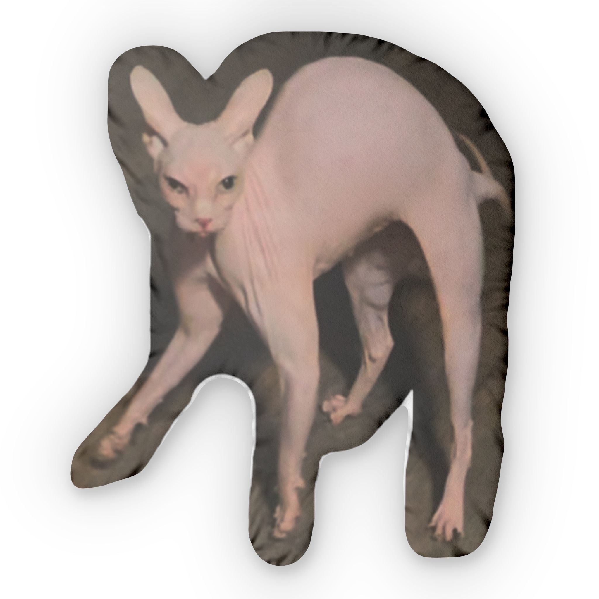 Meowzer! Custom shaped pillow