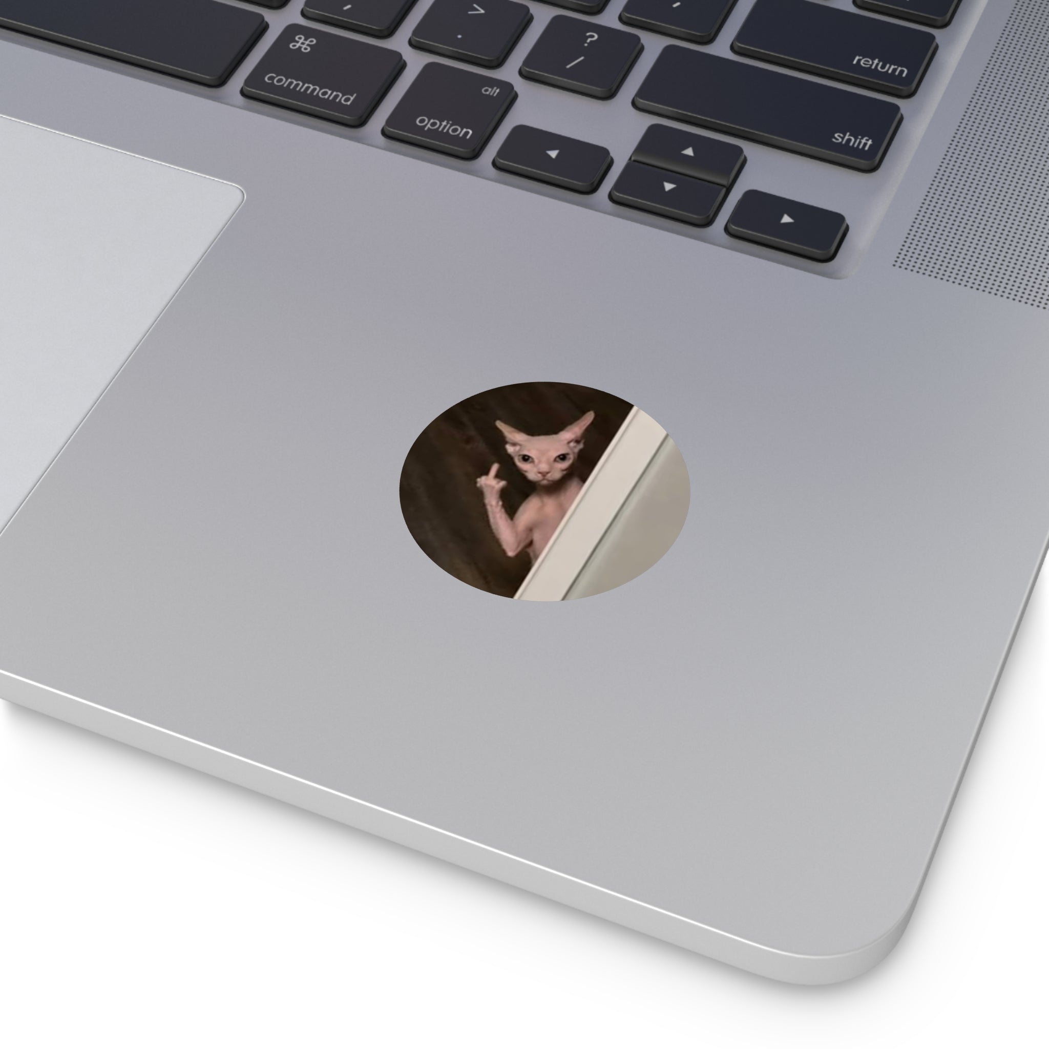 Peekaboo MF sticker