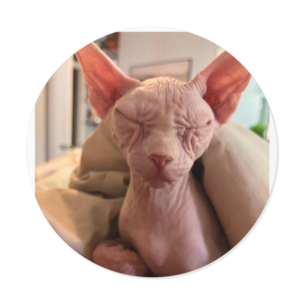 Sweet girl sticker