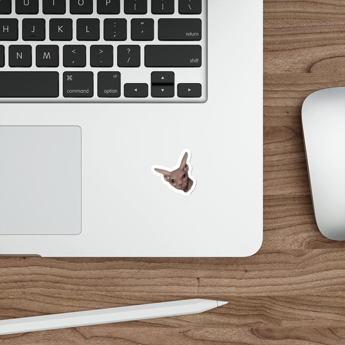 peekaboo sticker