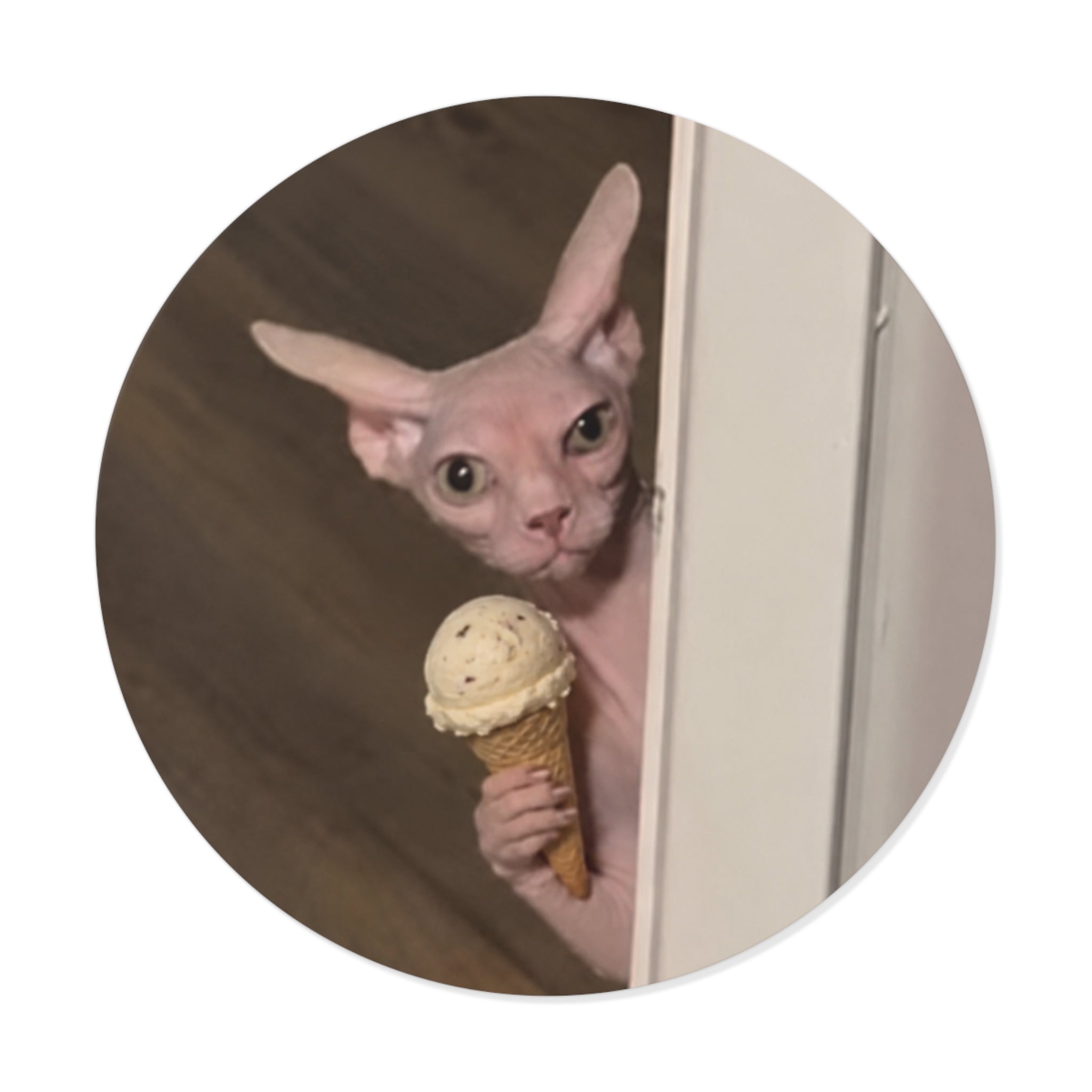 Ice cream kitty Sticker