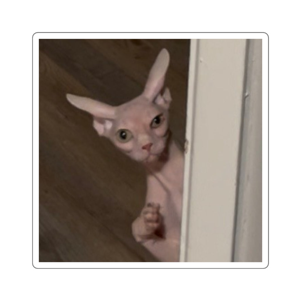 Square Stickers