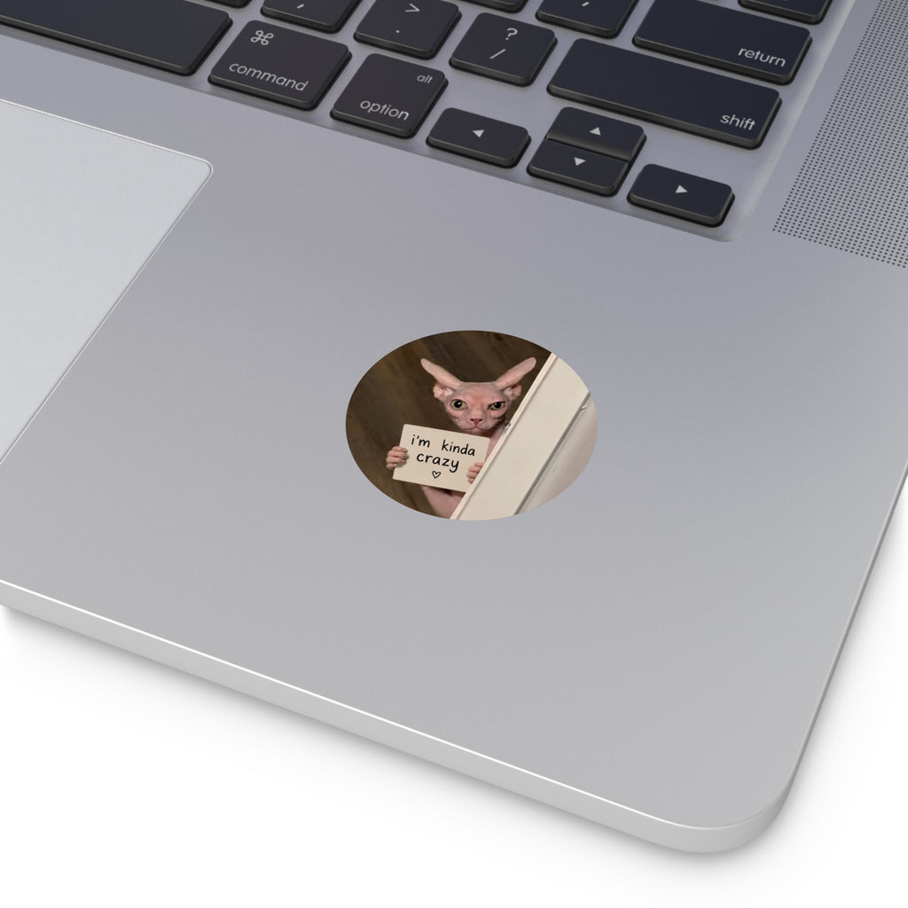 I'm kinda crazy sticker