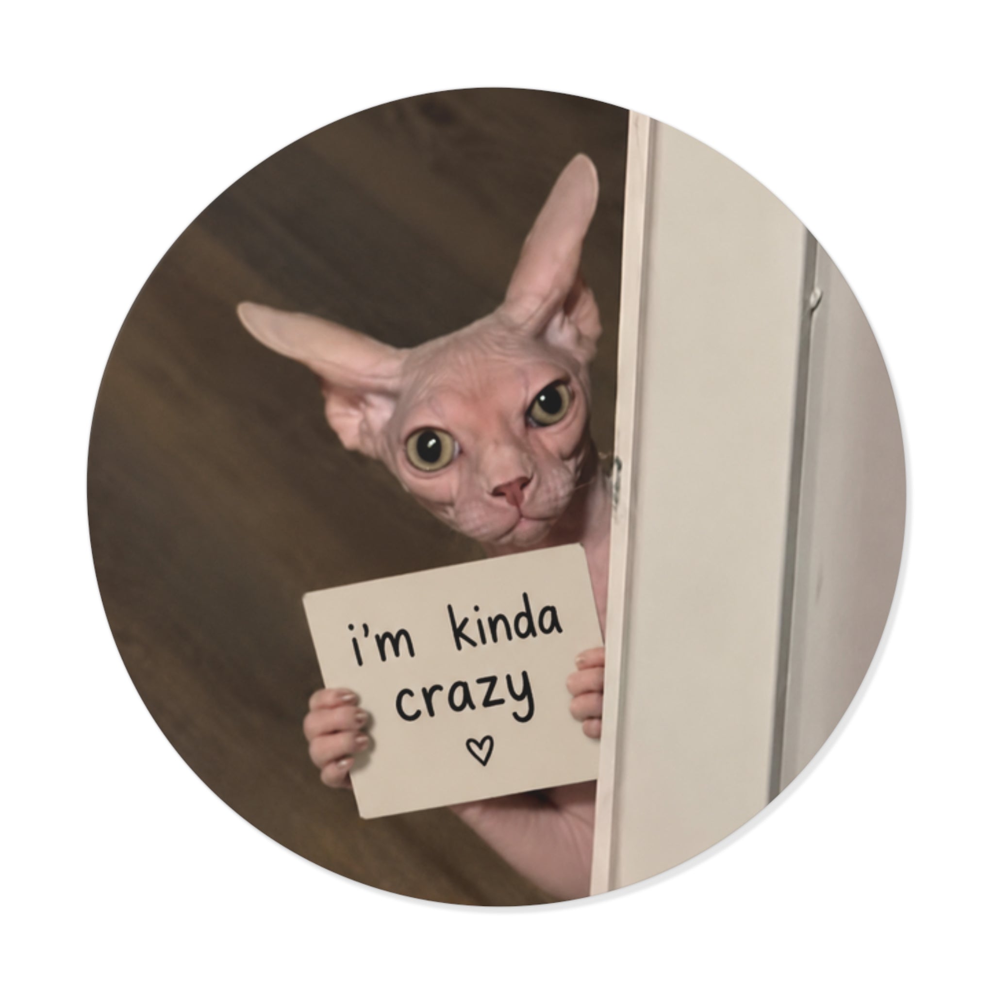 I'm kinda crazy sticker