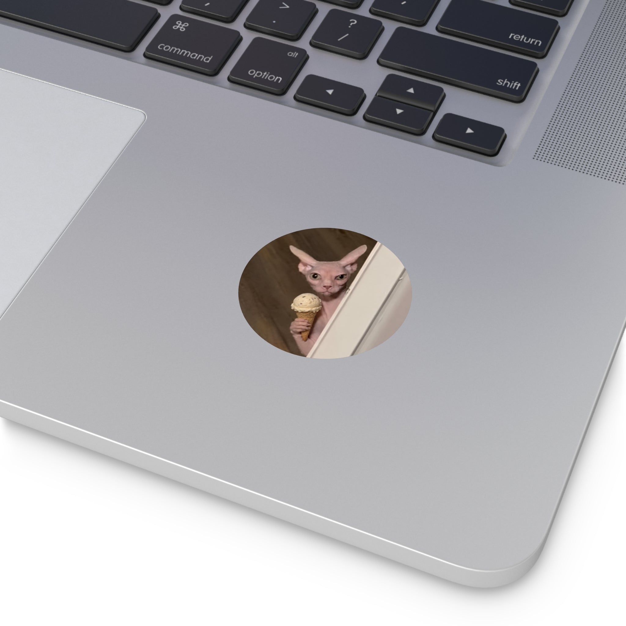 Ice cream kitty Sticker