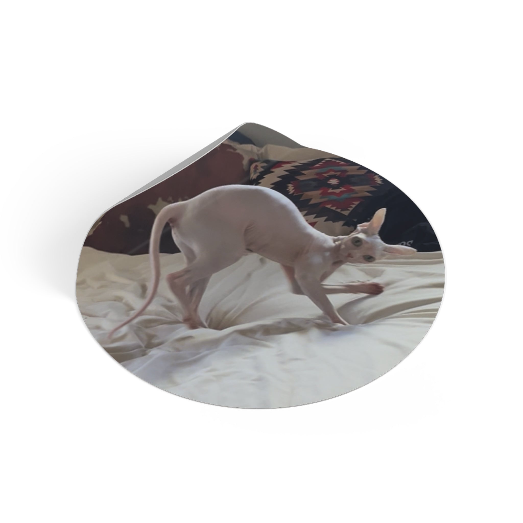 Oh hello there sticker