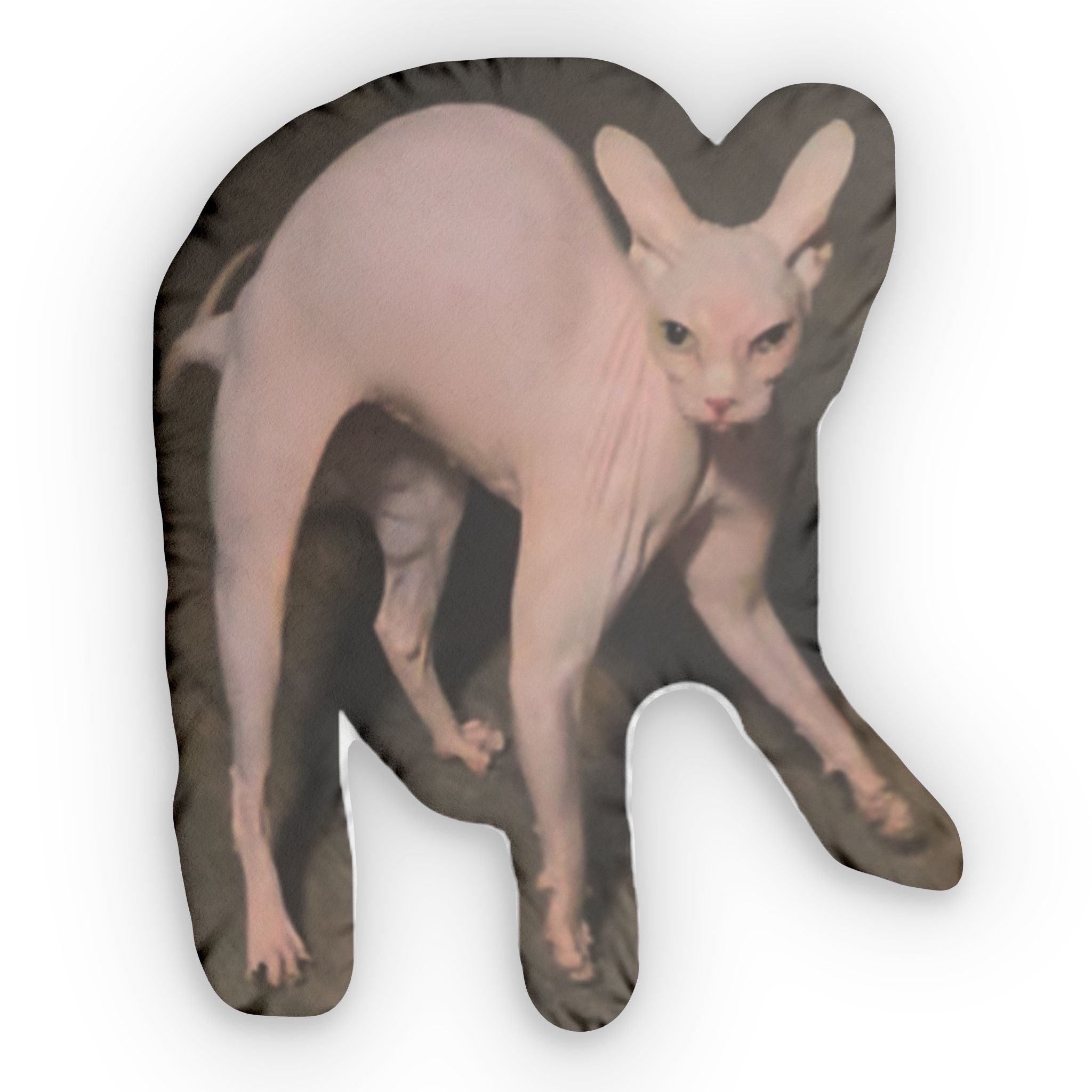 Meowzer! Custom shaped pillow
