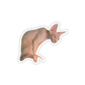 Gargoyle sticker