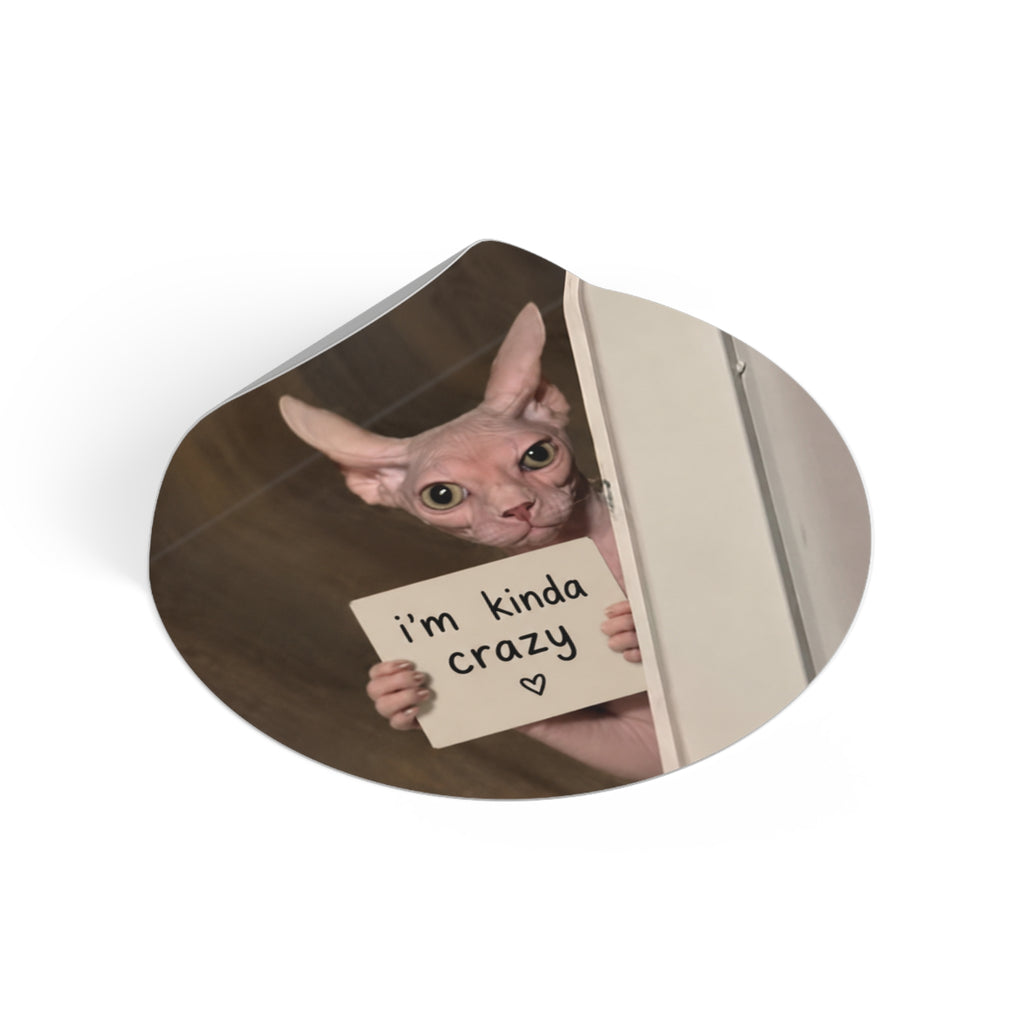 I'm kinda crazy sticker