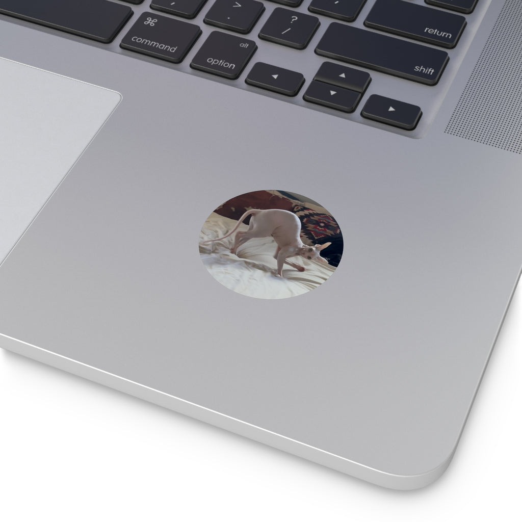 Oh hello there sticker