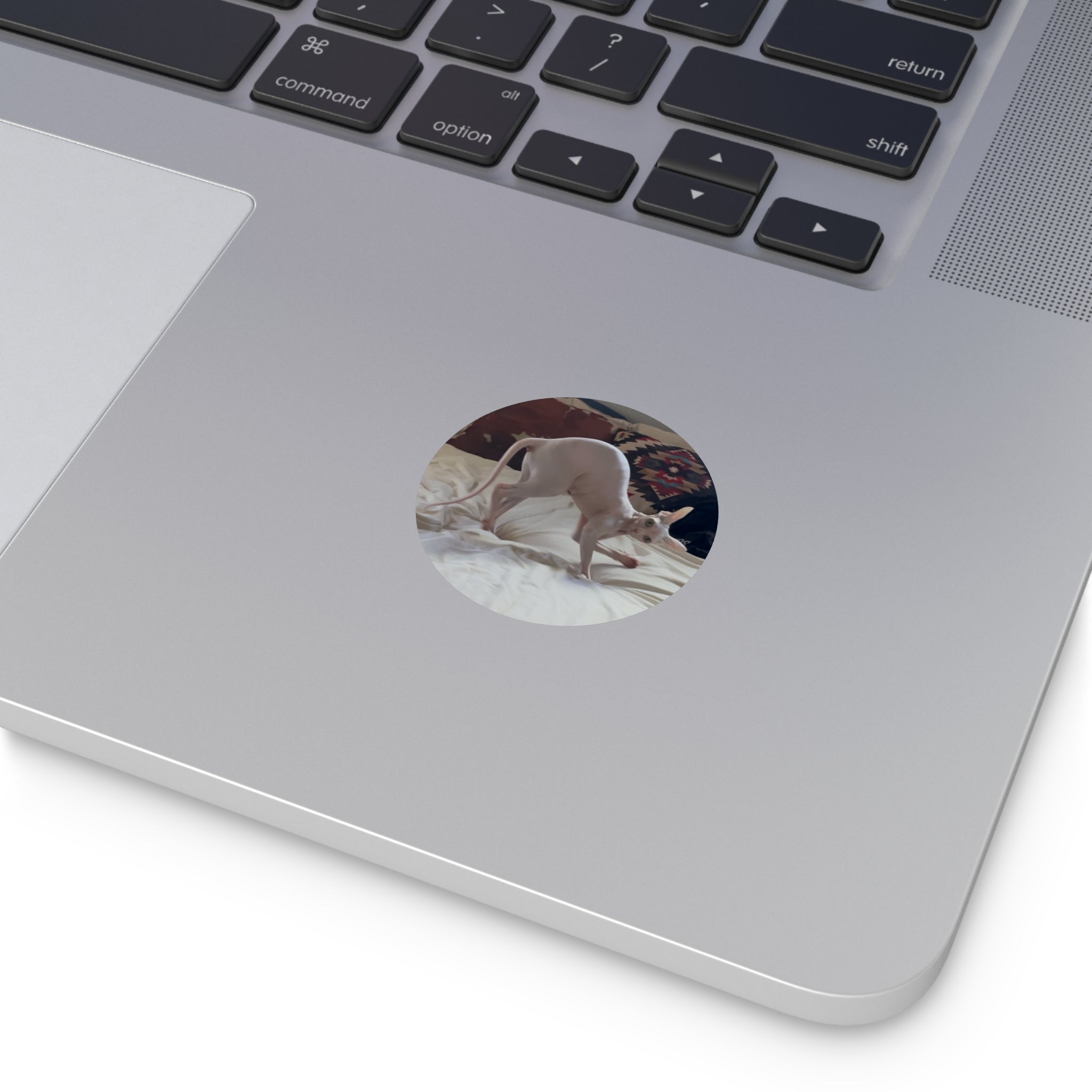 Oh hello there sticker